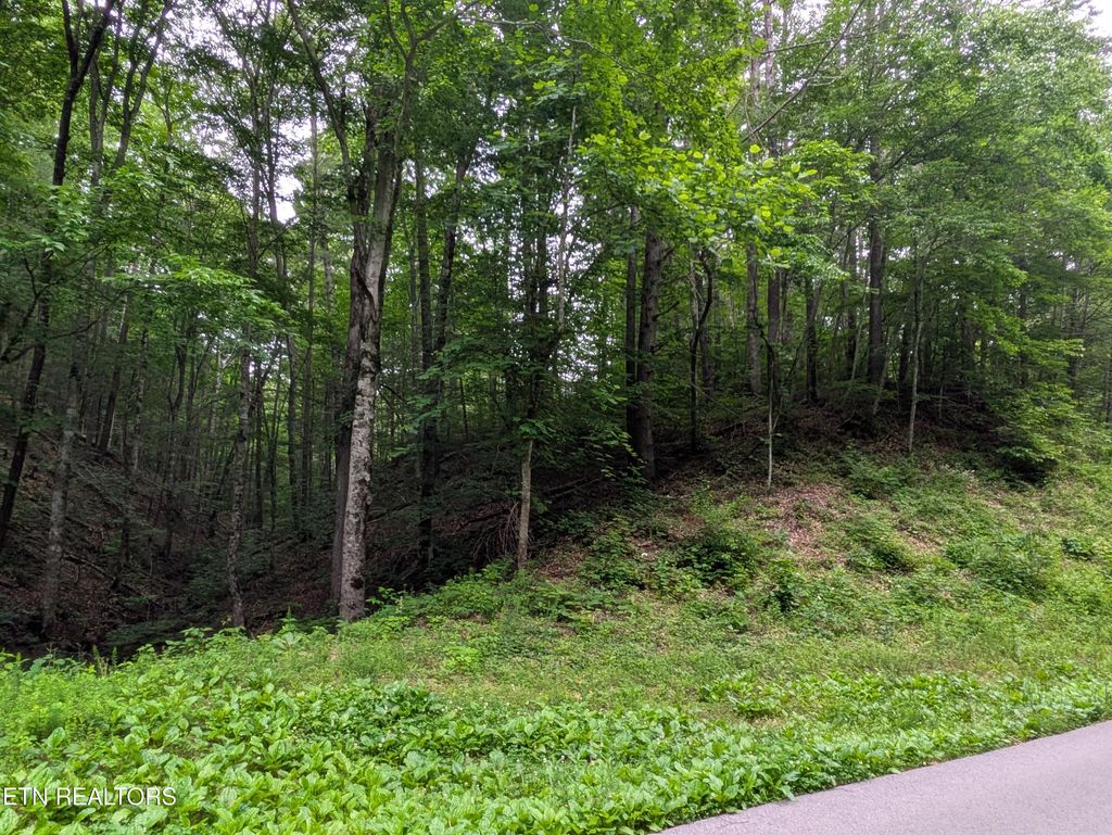 Photo of 438 Kurt&#39;s Corner Rd, Townsend, TN 37882 (MLS # 1303087)