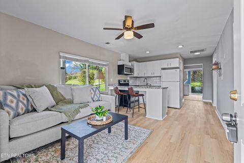 Tiny photo for 3625 Reagan Ave, Knoxville, TN 37919 (MLS # 1332484)