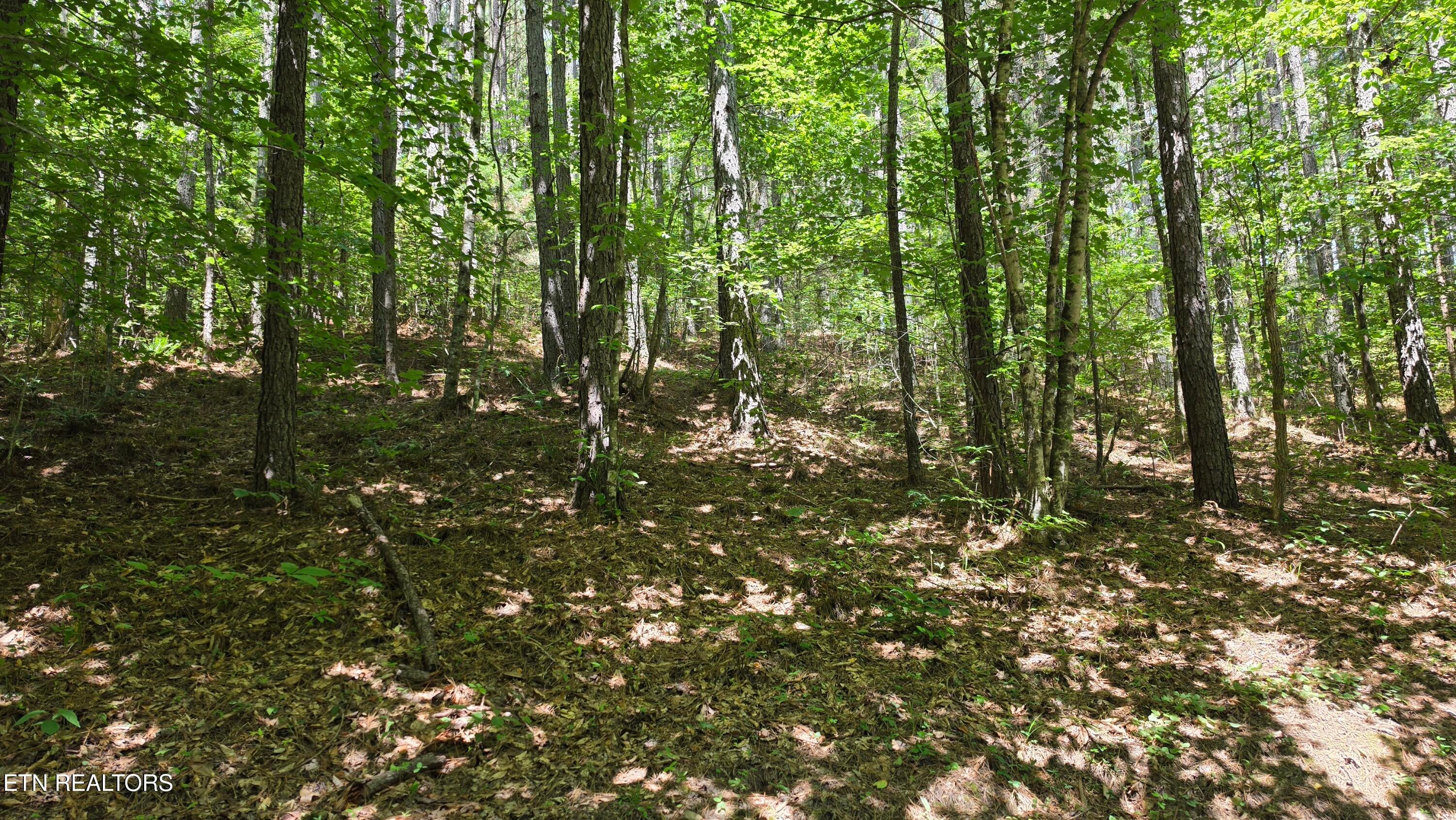 000 County Rd 184