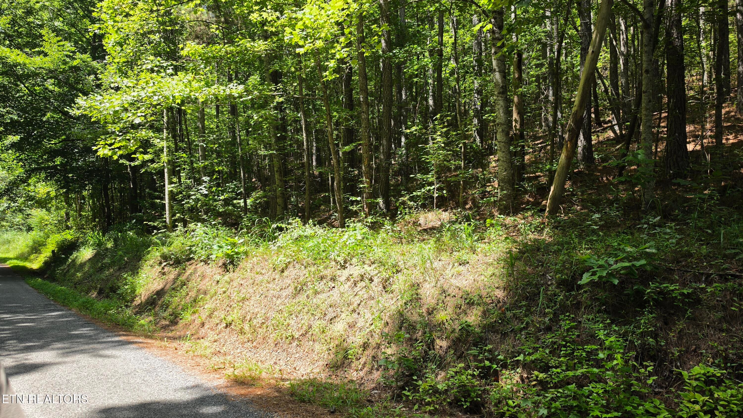 000 County Rd 184
