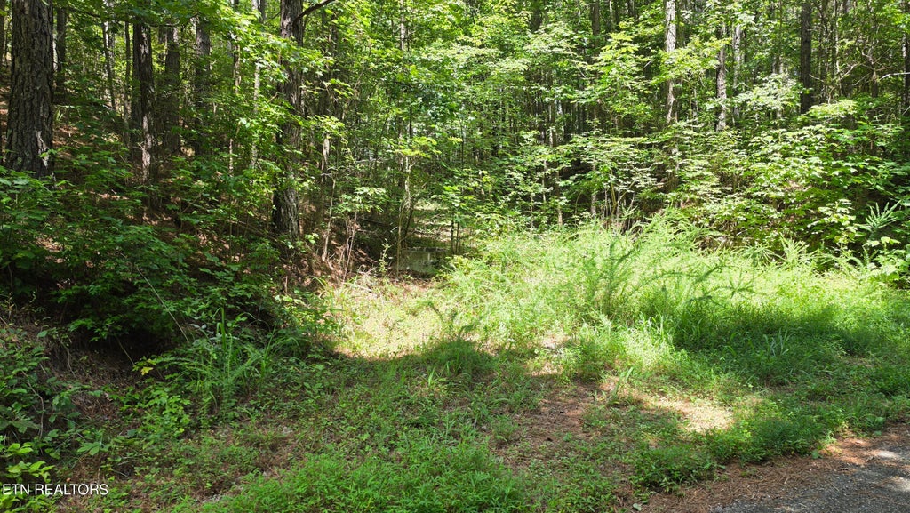 Photo of 000 County Rd #184, Athens, TN 37303 (MLS # 1351313)