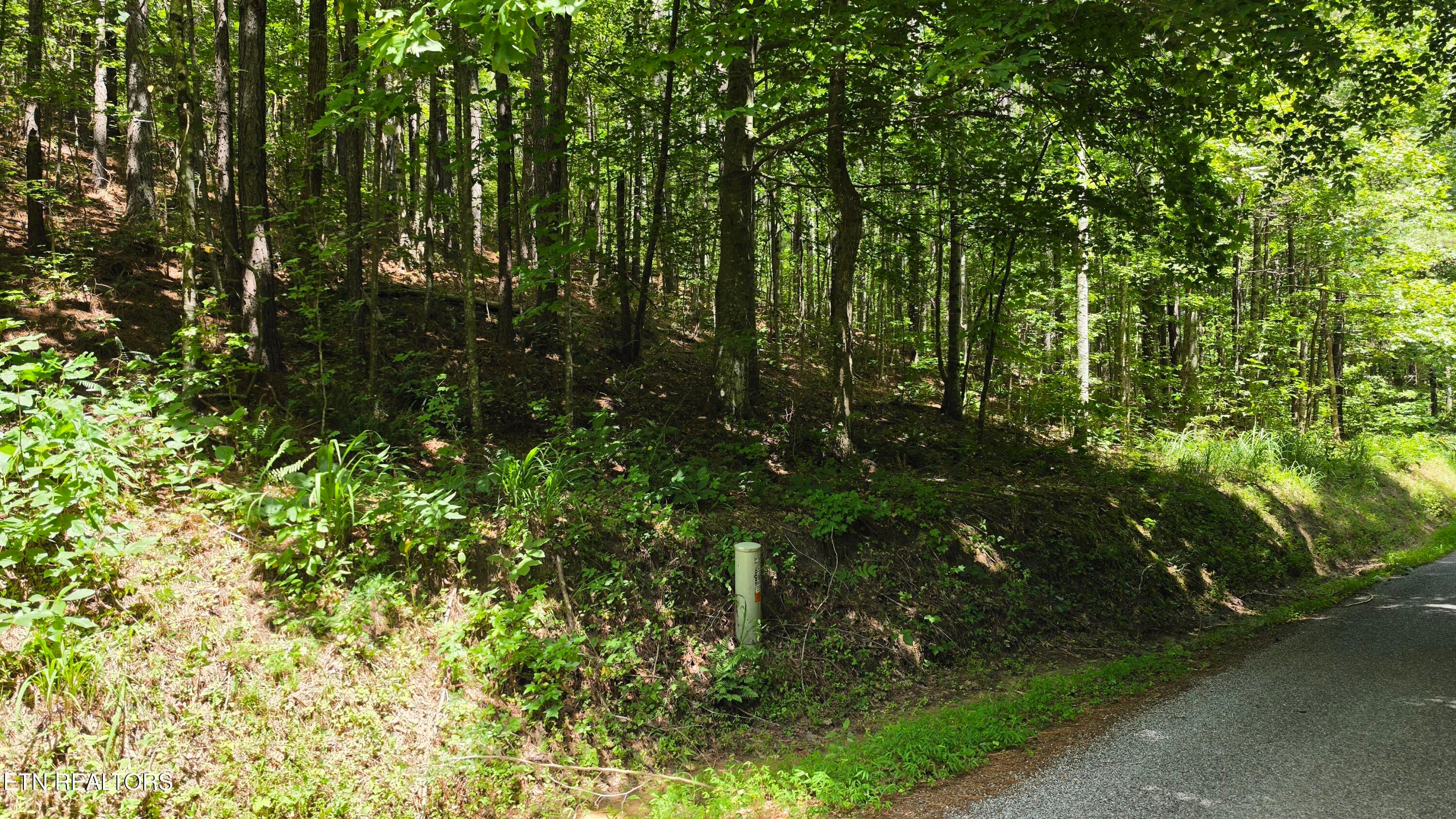000 County Rd 184