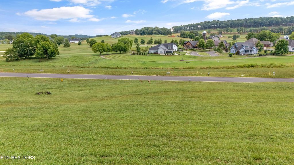 Photo of 2817 Chestnut Lane, Loudon, TN 37774 (MLS # 1315916)