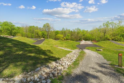 Tiny photo for 2117 McClung Ave, Knoxville, TN 37920 (MLS # 1336098)