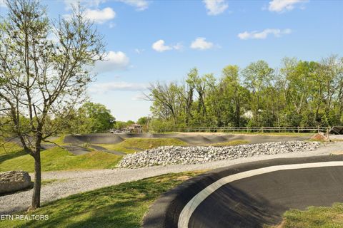 Tiny photo for 2117 McClung Ave, Knoxville, TN 37920 (MLS # 1336098)