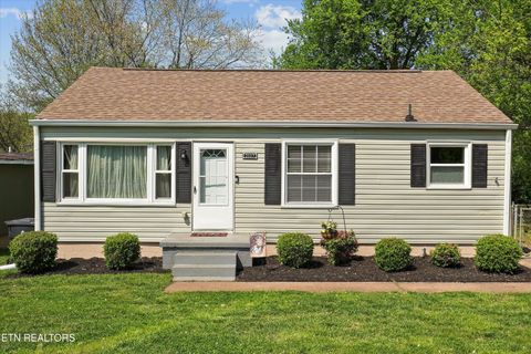 Tiny photo for 2117 McClung Ave, Knoxville, TN 37920 (MLS # 1336098)