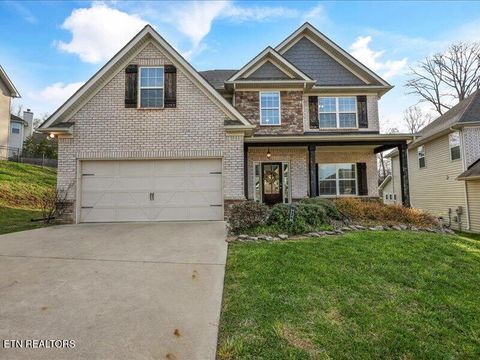 Photo of 9926 Hummingbird Lane, Knoxville, TN 37923 (MLS # 1333438)