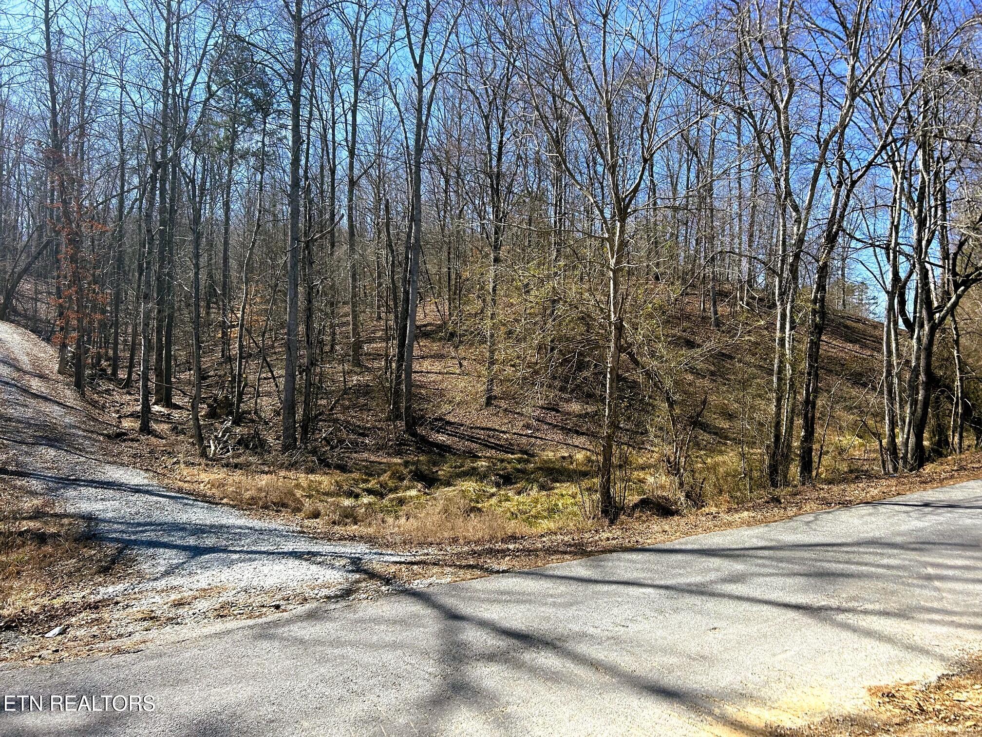 3211 N Hunter Bend Rd