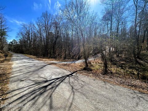 3211 N Hunter Bend Rd Decatur TN 37322