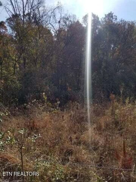 Tiny photo for 00 Tammy Trail, Spring City, TN 37381 (MLS # 1326491)