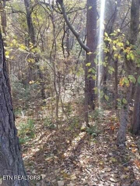 Tiny photo for 00 Tammy Trail, Spring City, TN 37381 (MLS # 1326491)