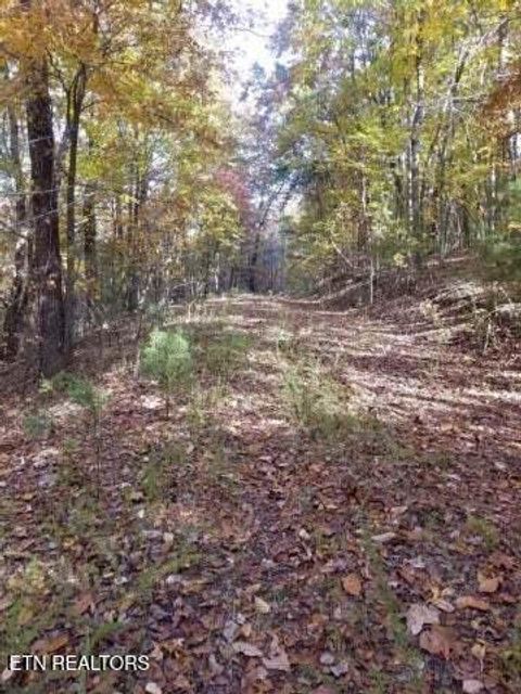 Photo of 00 Tammy Trail, Spring City, TN 37381 (MLS # 1326491)