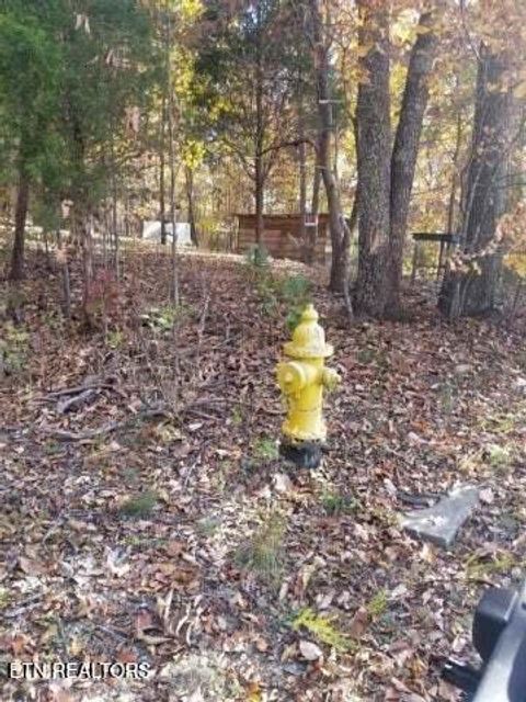 Tiny photo for 00 Tammy Trail, Spring City, TN 37381 (MLS # 1326491)