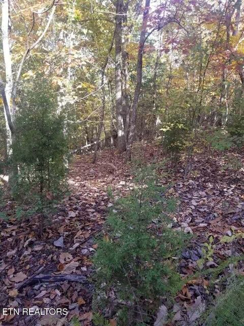 Tiny photo for 00 Tammy Trail, Spring City, TN 37381 (MLS # 1326491)