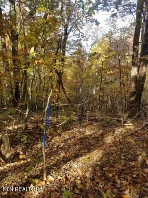 Tiny photo for 00 Tammy Trail, Spring City, TN 37381 (MLS # 1326491)