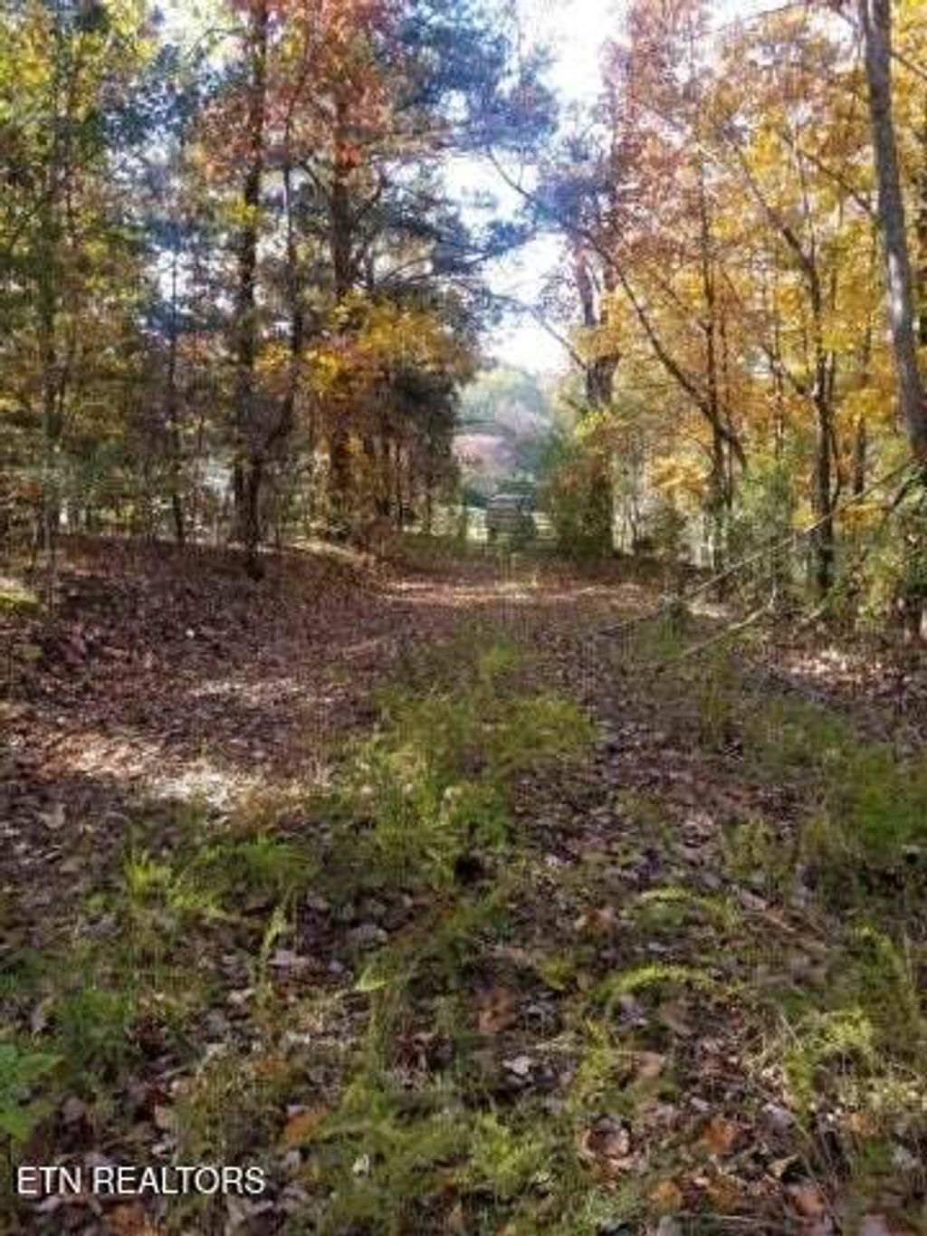 Photo of 00 Tammy Trail, Spring City, TN 37381 (MLS # 1326491)