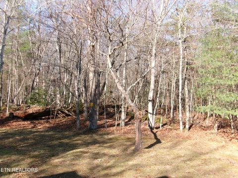 Tiny photo for 14 Brooks Lane, Crossville, TN 38558 (MLS # 1323295)