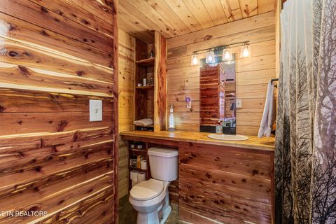 Tiny photo for 365 Co Rd 38, Riceville, TN 37370 (MLS # 1328107)