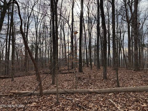 Tiny photo for 365 Co Rd 38, Riceville, TN 37370 (MLS # 1328107)