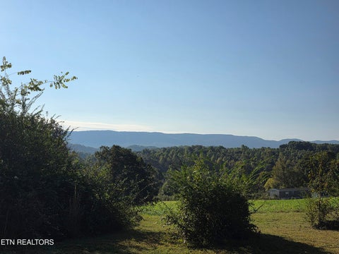 Tiny photo for 810 Ridge Rd, Maryville, TN 37803 (MLS # 1359559)