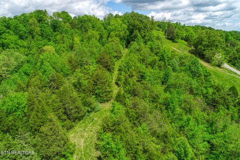 Tiny photo for 833 Duck Creek Rd, Sneedville, TN 37869 (MLS # 1339595)