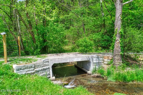 Tiny photo for 833 Duck Creek Rd, Sneedville, TN 37869 (MLS # 1339595)
