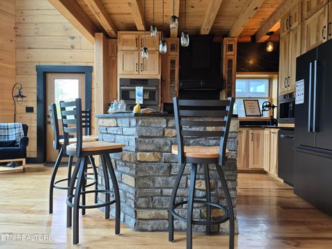 Tiny photo for 833 Duck Creek Rd, Sneedville, TN 37869 (MLS # 1339595)