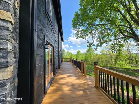 Tiny photo for 833 Duck Creek Rd, Sneedville, TN 37869 (MLS # 1339595)
