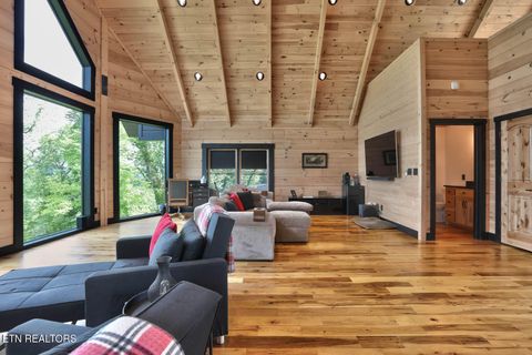 Tiny photo for 833 Duck Creek Rd, Sneedville, TN 37869 (MLS # 1339595)