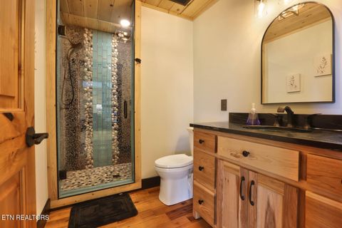 Tiny photo for 833 Duck Creek Rd, Sneedville, TN 37869 (MLS # 1339595)
