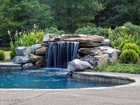 Tiny photo for 8000 Highway 194, Williston, TN 38076 (MLS # 1317799)