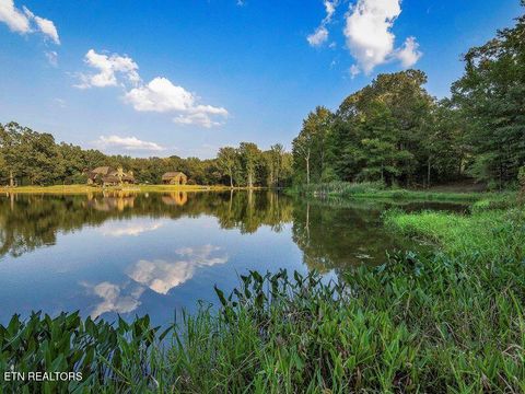 Tiny photo for 8000 Highway 194, Williston, TN 38076 (MLS # 1317799)