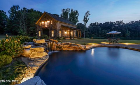 Tiny photo for 8000 Highway 194, Williston, TN 38076 (MLS # 1317799)