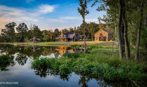 Tiny photo for 8000 Highway 194, Williston, TN 38076 (MLS # 1317799)