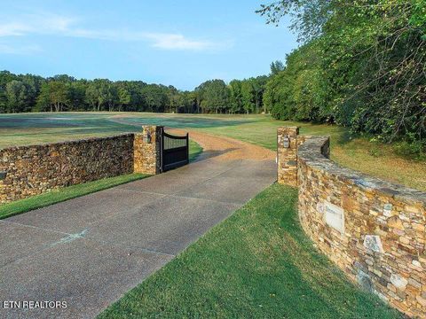 Tiny photo for 8000 Highway 194, Williston, TN 38076 (MLS # 1317799)