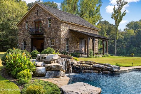Tiny photo for 8000 Highway 194, Williston, TN 38076 (MLS # 1317799)