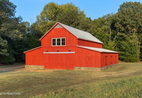 Tiny photo for 8000 Highway 194, Williston, TN 38076 (MLS # 1317799)