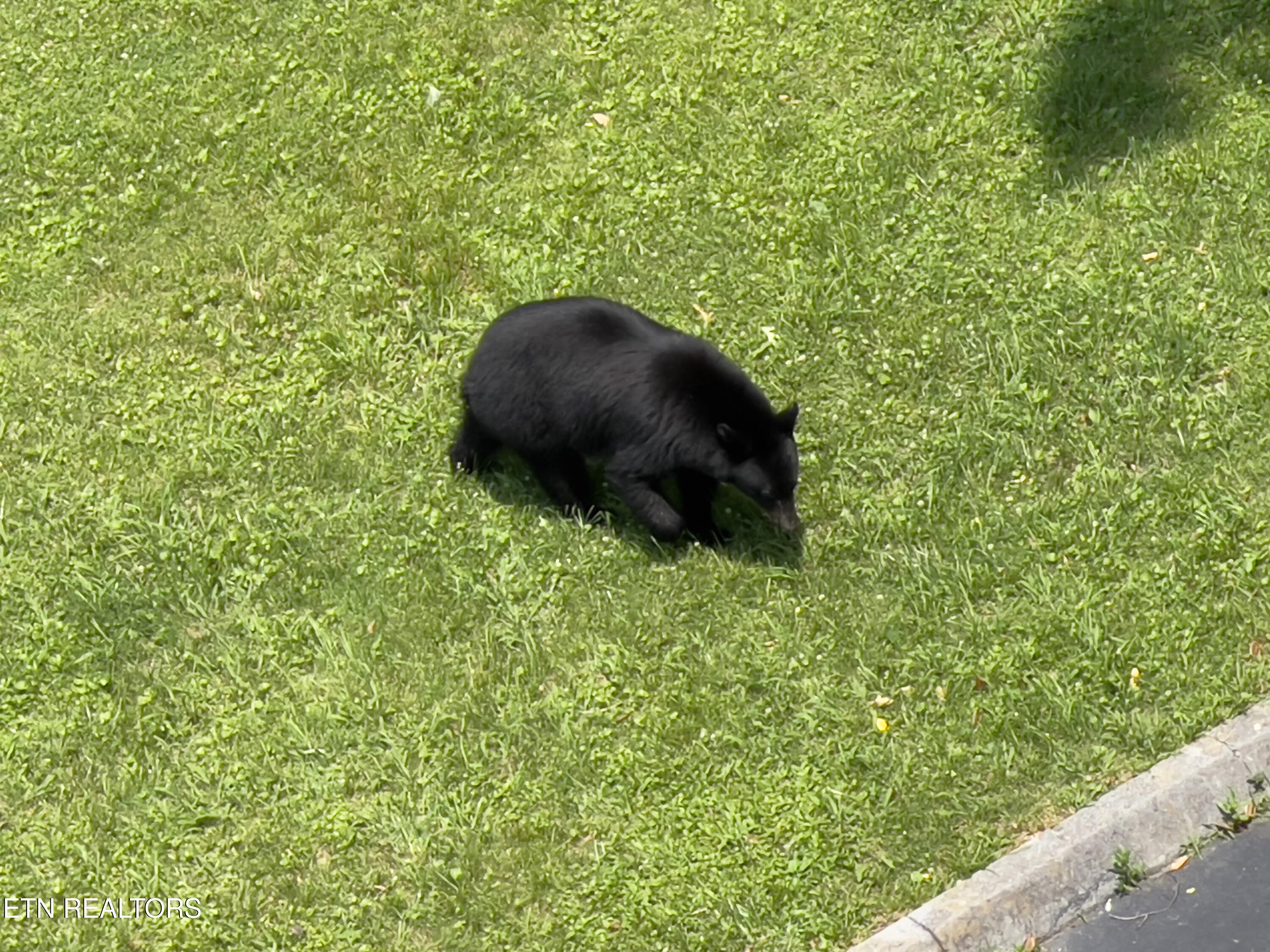 413 Baskins Creek Rd 608