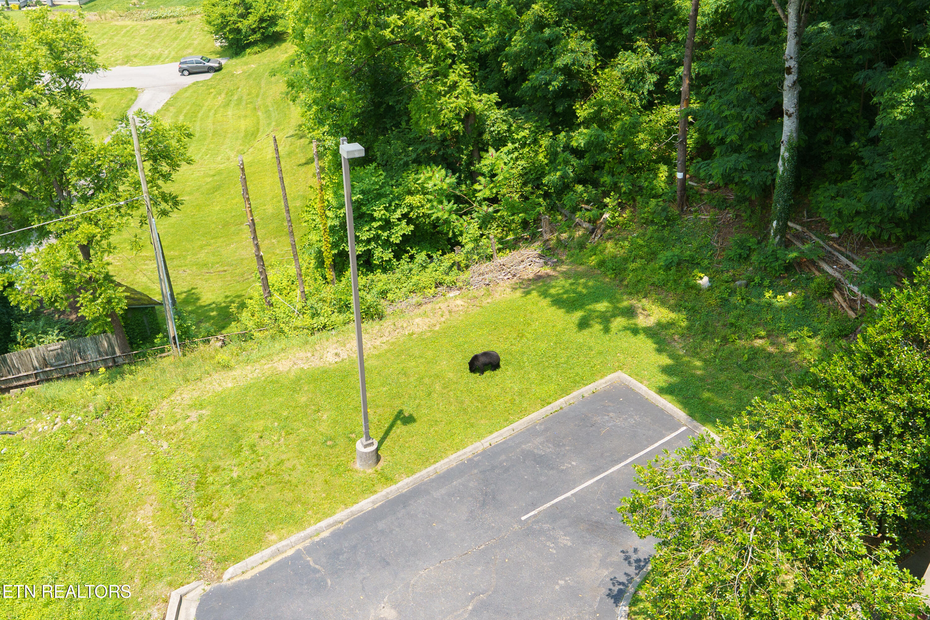 413 Baskins Creek Rd 608