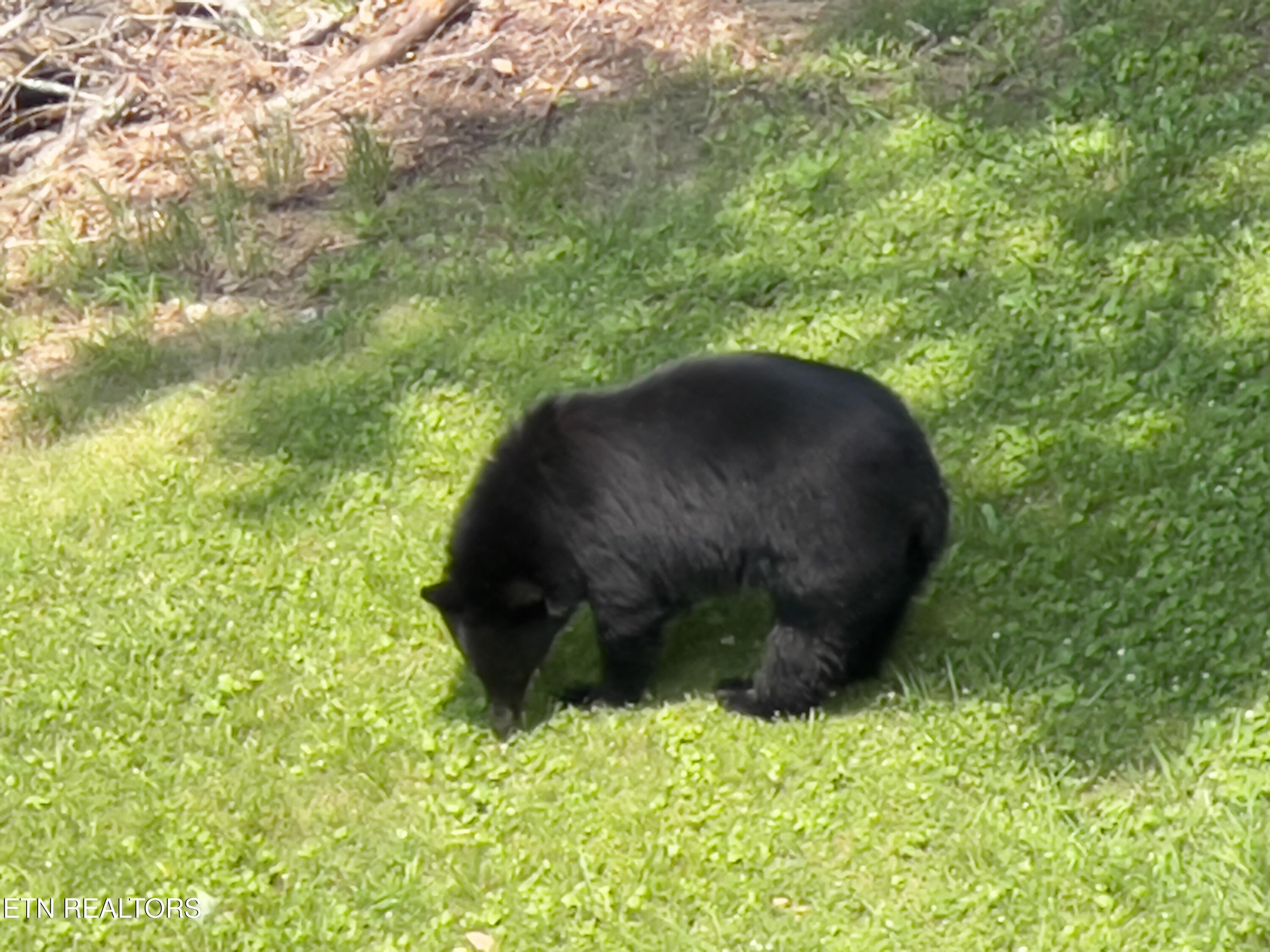 413 Baskins Creek Rd 608