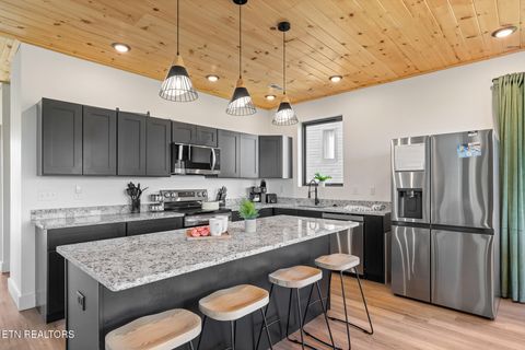 Tiny photo for 519 New Venture Way, Sevierville, TN 37876 (MLS # 1317587)