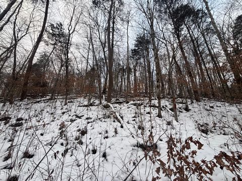 Photo of Fox Hollow Lane, Andersonville, TN 37705 (MLS # 1328330)