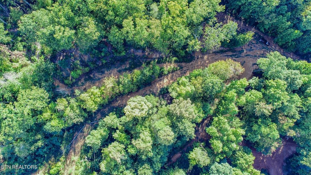 Photo of 151 Delicious Way Way, Newport, TN 37821 (MLS # 1318092)