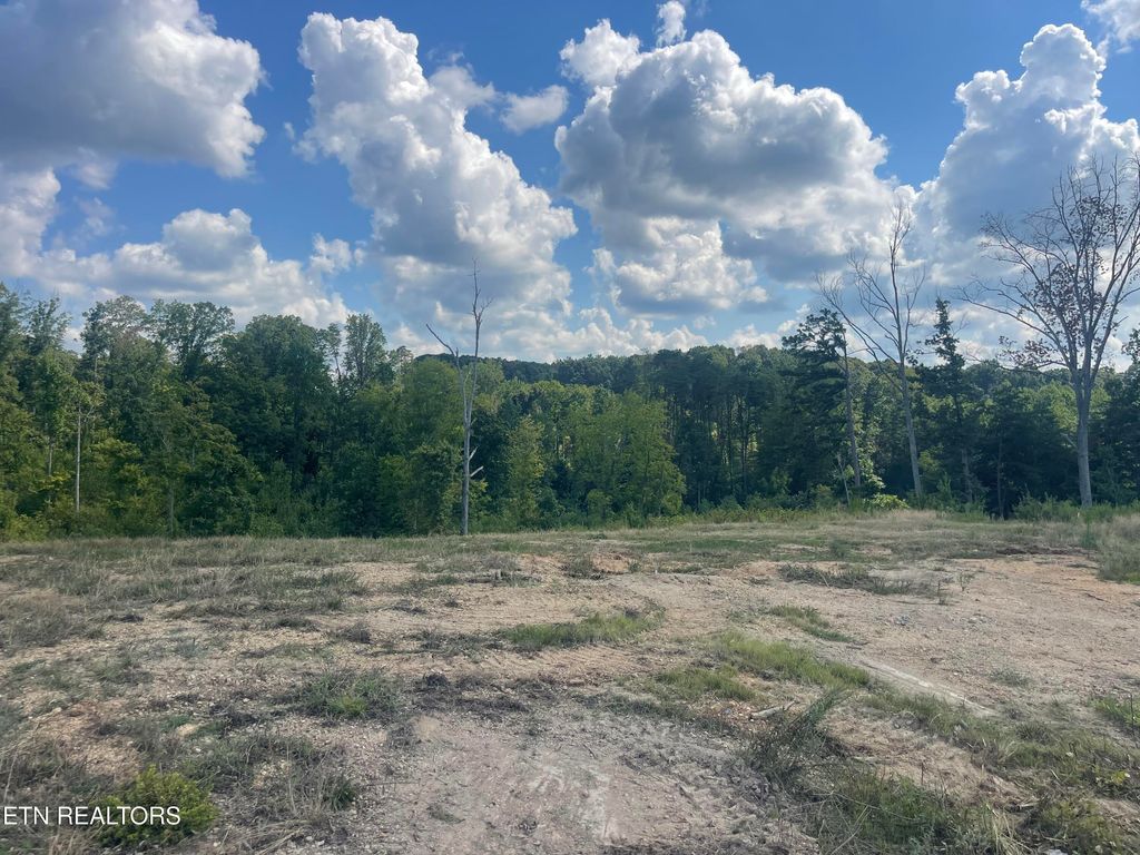 Photo of 17 Laura Boling Loop Rd, Strawberry Plains, TN 37871 (MLS # 1311634)