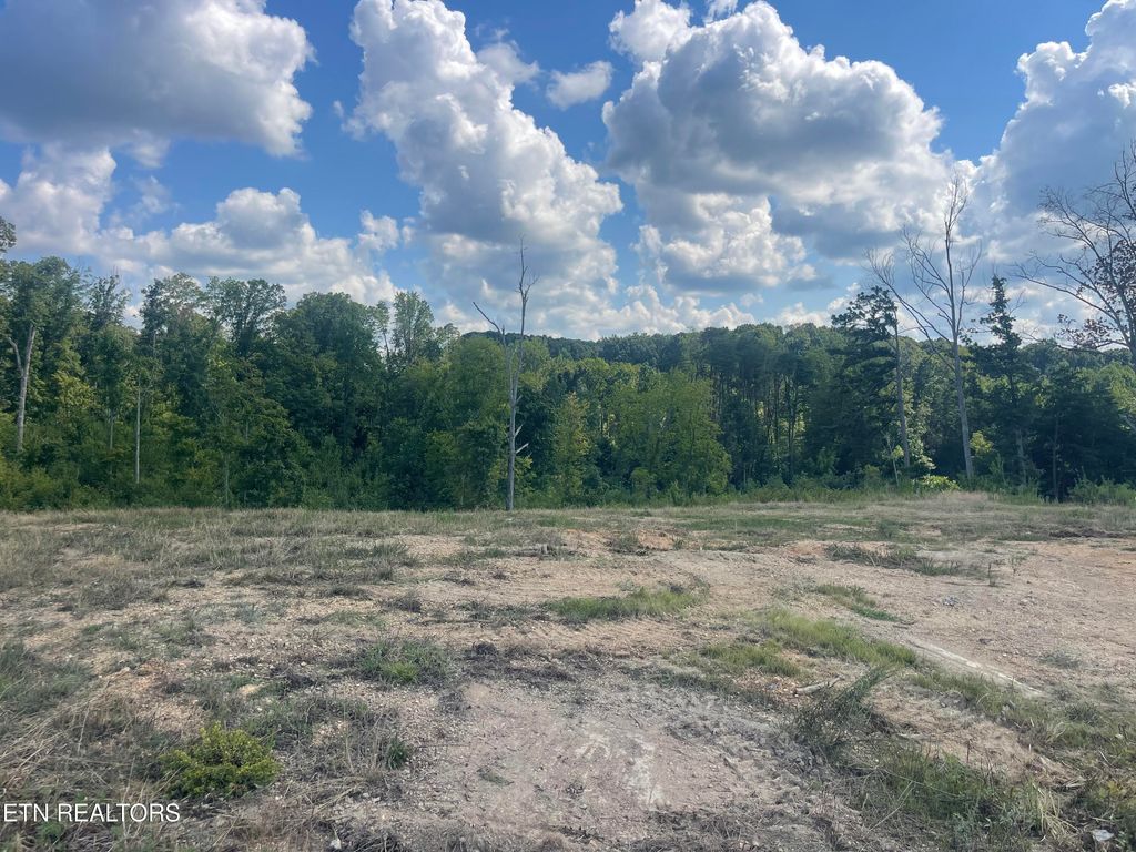 Photo of 17 Laura Boling Loop Rd, Strawberry Plains, TN 37871 (MLS # 1311634)