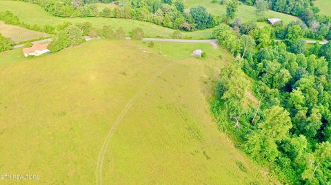 Tiny photo for 1514 Chestnut Stump Rd, LaFollette, TN 37766 (MLS # 1330475)