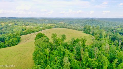Tiny photo for 1514 Chestnut Stump Rd, LaFollette, TN 37766 (MLS # 1330475)