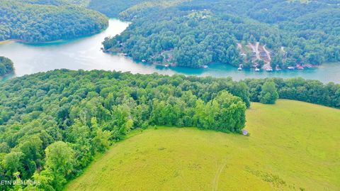 Tiny photo for 1514 Chestnut Stump Rd, LaFollette, TN 37766 (MLS # 1330475)