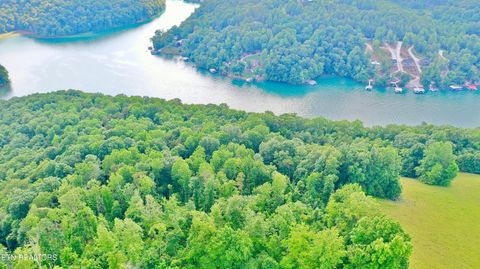 Tiny photo for 1514 Chestnut Stump Rd, LaFollette, TN 37766 (MLS # 1330475)