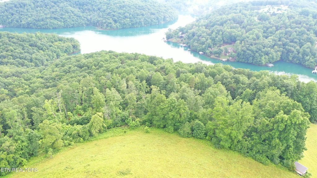 Photo of 1514 Chestnut Stump Rd, LaFollette, TN 37766 (MLS # 1330475)
